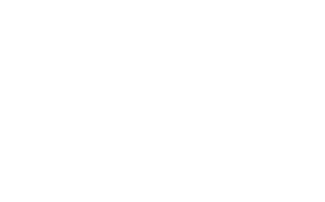 Bearded Dog Design - Web Design in New Jersey